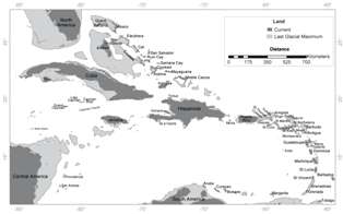 Rising Seas Caused by Glacial Melting Linked to Caribbean Extinction of Bats