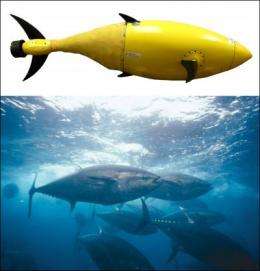 Robotic tuna is built by Homeland Security