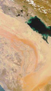 Satellite captures images of sandstorm