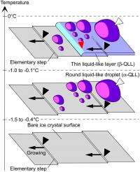 The hidden nanoworld of ice crystals: Revealing the dynamic behavior of quasi-liquid layers