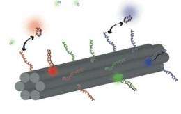 Scientists engineer novel DNA barcode
