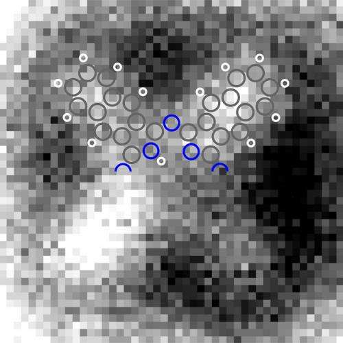 Scientists image the charge distribution within a single molecule for the first time