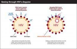 Scientists work to detach protein that HIV uses as protective shield