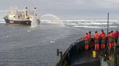 Sea Shepherd crewmembers look out at the Japanese ship Nisshin Maru in the Southern Ocean, on February 9, 2011