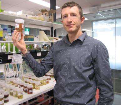Sea sponges offer hope for new medicines