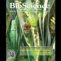 Secret sex life to help save world's endangered seagrasses