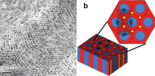 Self-assembling nanorods: Berkeley Lab researchers obtain 1-, 2- and 3-D nanorod arrays and networks