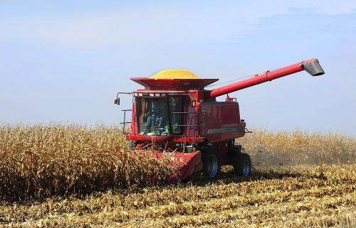 Signs for optimism as harvest reaches peak in Iowa