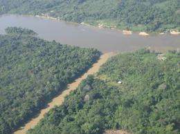 Small-scale gold mining impacts river algae in French Guiana