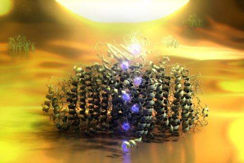 Solar cell consisting of a single molecule