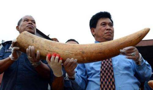 Some 1,500 tusks hidden in two containers were discovered at the country's main port of Klang
