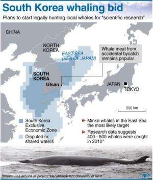 South Korea whaling bid