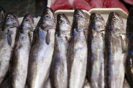 Spanish consumers prefer national fish