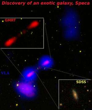 Speca - An intriguing look into the beginning of a black hole jet