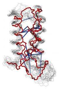 Speeding up drug discovery with rapid 3-D mapping of proteins