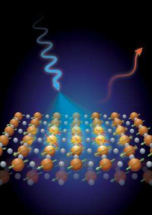 Spin waves revealed in two-dimensional high-temperature superconductors