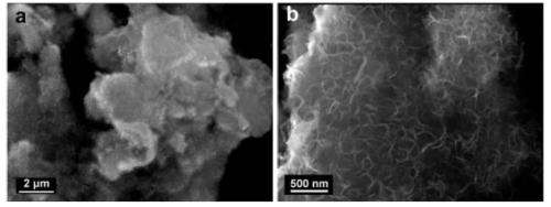 Sponge-like graphene makes promising supercapacitor electrodes