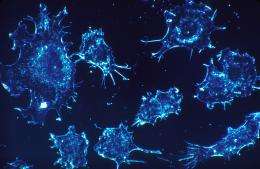 Strategy discovered to activate genes that suppress tumors and inhibit cancer