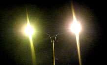 Streetlight policies could cast a shadow over wildlife