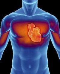 Study closes debate on folic acid and heart disease