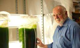 Study determines theoretical energy benefits and potential of algae fuels