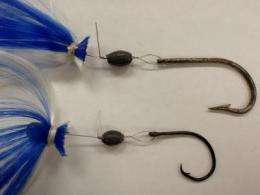 Study finds circle hooks lower catch rate for offshore anglers