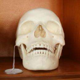 Study finds significant skull differences between closely linked groups