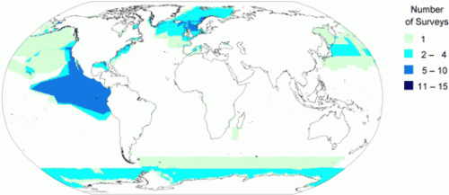 Study finds that only 6% of ocean surfaces have been adequately surveyed, endangering marine mammals