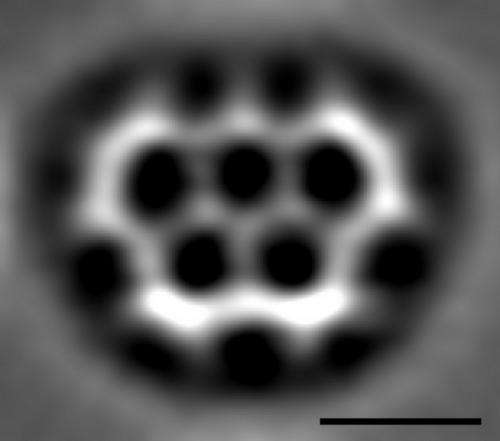 Stunning image of smallest possible 5 rings