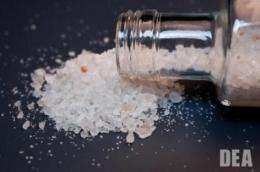 Synthetic stimulants called 'bath salts' act in the brain like cocaine