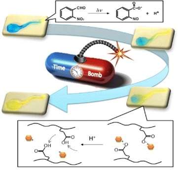 Targeting drugs with hydrogels [research]