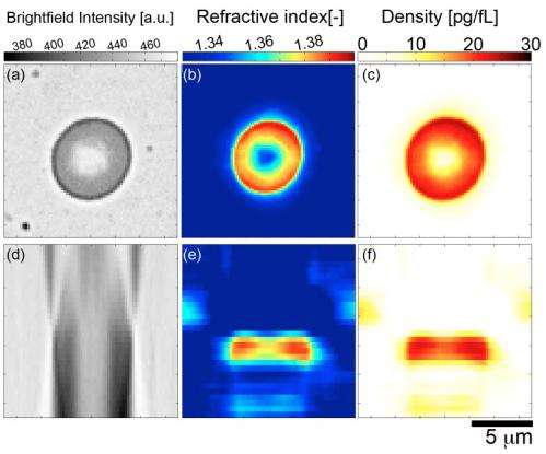 Optical microscopy enters a new phase: 3D measurement through tomographic bright field imaging