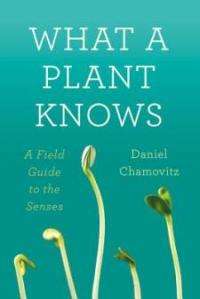 Tel Aviv University researcher says plants can see, smell, feel, and taste