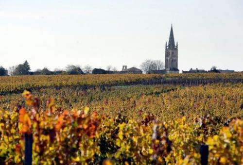 The 2012 vintage has a lot of variability, says the Federation des Grands Vins de Bordeaux