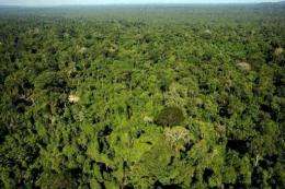 The Amazon is known as the "Lungs of our planet" as it produces roughly 20% of the Earth's oxygen through photosynthesis
