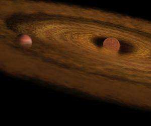 The earliest stages of planet formation
