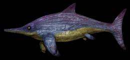 The Ichthyosaurs survived longer than was thought