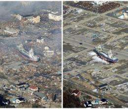 The Japanese disaster one year later