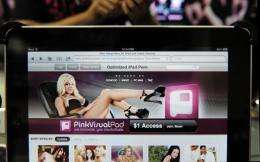 The Pink Visual pornography site optimized for iPad
