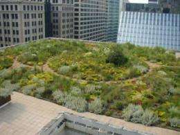 There’s no one-size-fits-all green roof, studies show