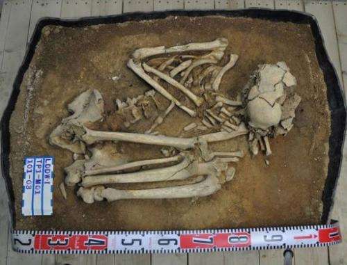 The Stone Age male, unearthed on Liang island off China, was about 35 when he died nearly eight thousand years ago