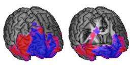 Thinking and choosing in the brain