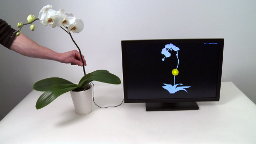 Touch your philodendron and control your computer (w/ Video)