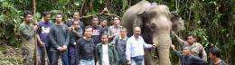 Tracking endangered elephants with satellite technology