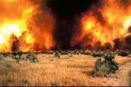 Tracking invasive cheatgrass role in larger, more frequent Western fires