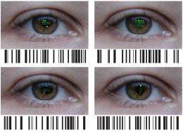 Transcriptional barcoding of retinal cells identifies disease target cells