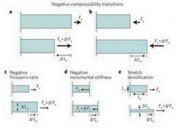 Research pair theorize metamaterials that exhibit negative compressibility transitions