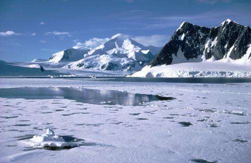 Why Antarctic sea ice cover has increased under the effects of climate change
