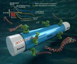 Ultra-sensitive electrical biosensor unlocks potential for instant diagnostic devices
