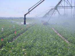 USDA irrigation research: Good to the last drop